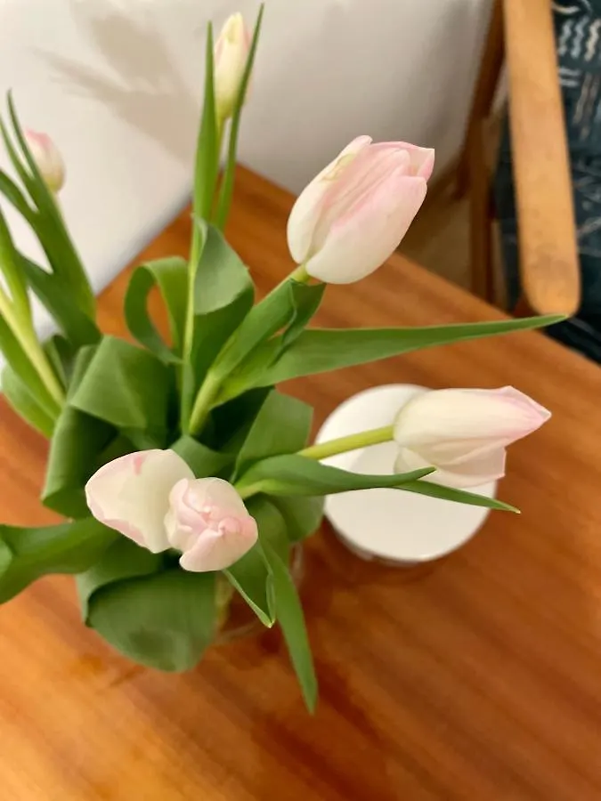 Apartament Baltyk, Dwa Pokoje Blisko Morza Apartment Gdansk Poland